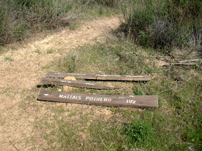 Image Number Seven