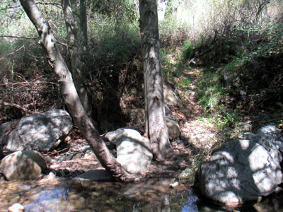 Image Number Nine