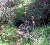 MPC008 Small creek crossing