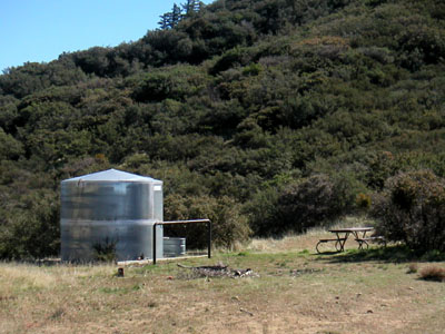 Image Number Four