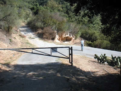 Image Number Five