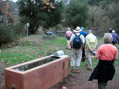 Image Number Two