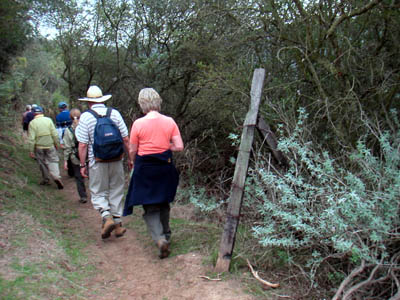 Image Number Four