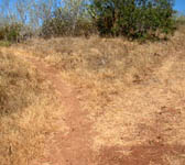 PAR007 Junction trail