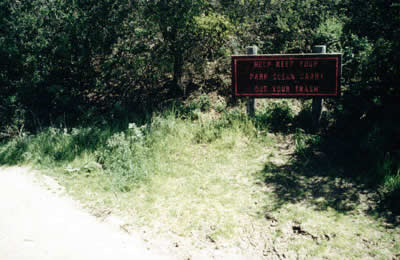 Image Number Three