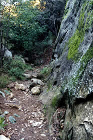 Image Number Six