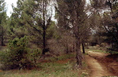 Image Number Eight