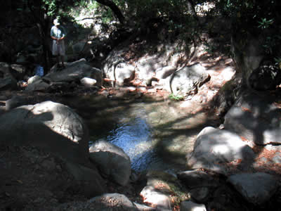 Image Number Ten