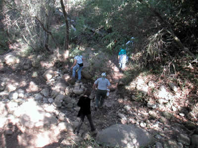 Image Number Four
