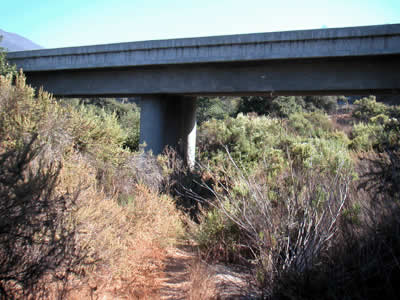 Image Number Nine