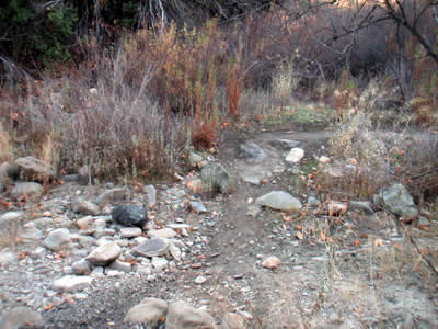 Image Number Three