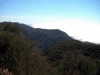 Image Number Seventeen