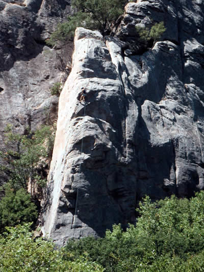 Image Number Six