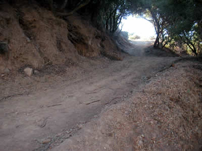 Image Number Seven