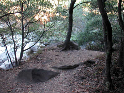 Image Number Nine