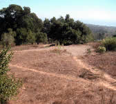 MMU001 Picnic area