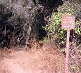 BV004 Junction with dirt road