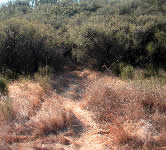 ED001 Trail junction on right