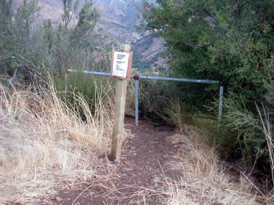 Image Number Five