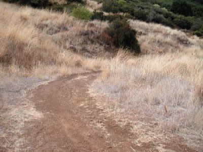 Image Number Eight