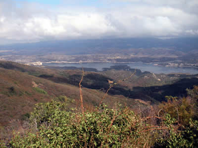Image Number Seven