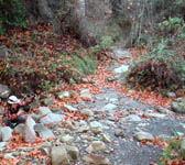 TEQ004 Last of stream crossings