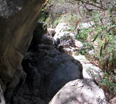 TPT006 Creek cross