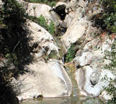 TPT007 First pool