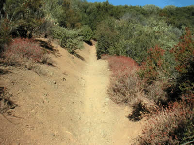 Image Number Ten