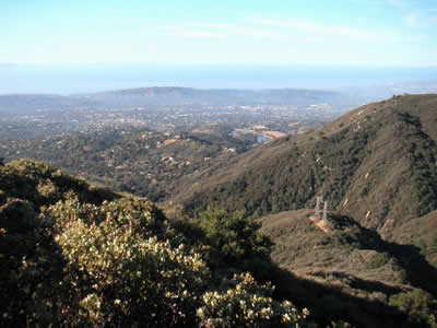 Image Number Seven