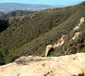 TUN009 View Point