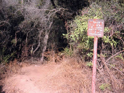 Image Number Five