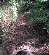 ROM007 Romero Connector trail junction